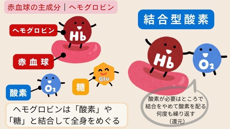 結合型酸素の説明。イメージ画僧