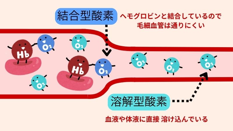 結合型酸素と溶解型酸素の説明