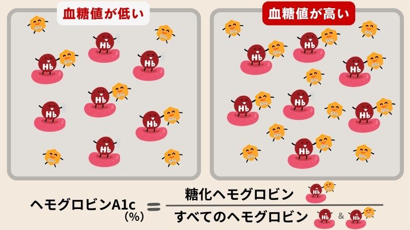 血糖値の状態を図解。ヘモグロビンA1cの解説。